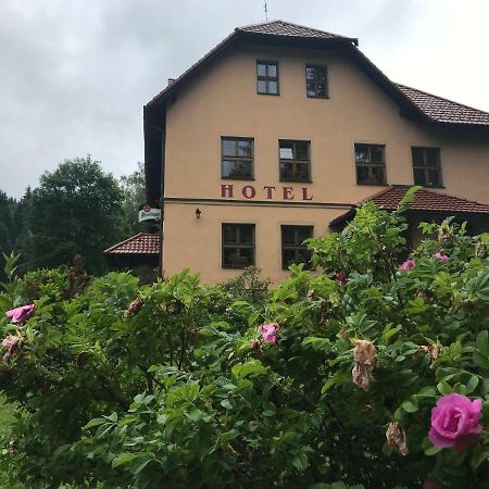 Horske Ubytovani Kralovsky Dvur Na Bilem Potoce Hamry  Exterior foto