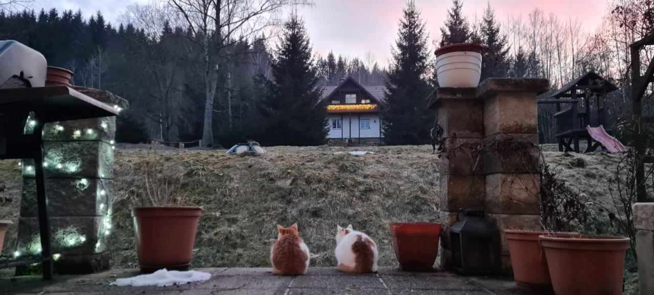 Horske Ubytovani Kralovsky Dvur Na Bilem Potoce Hamry  Exterior foto